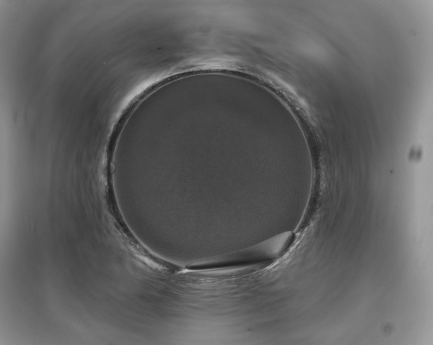 X0000097631174200803071525