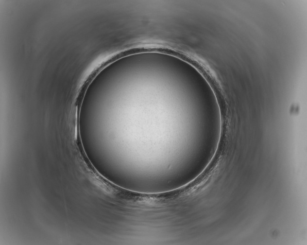 X0000097631175200803071525