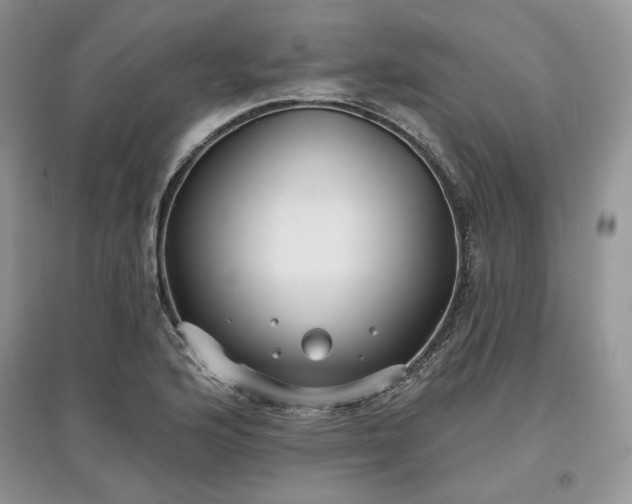 X0000097631176200803071525