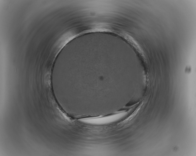 X0000097631177200803071525