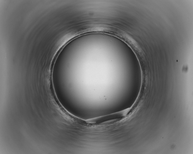 X0000097631178200803071524