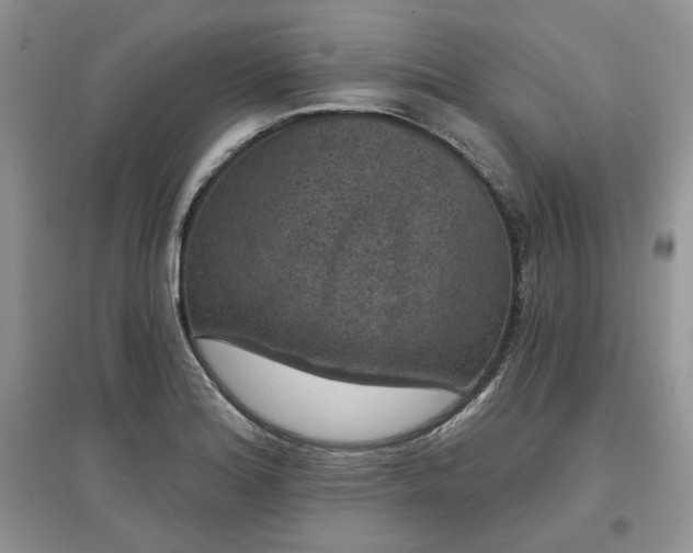 X0000097631180200803071524