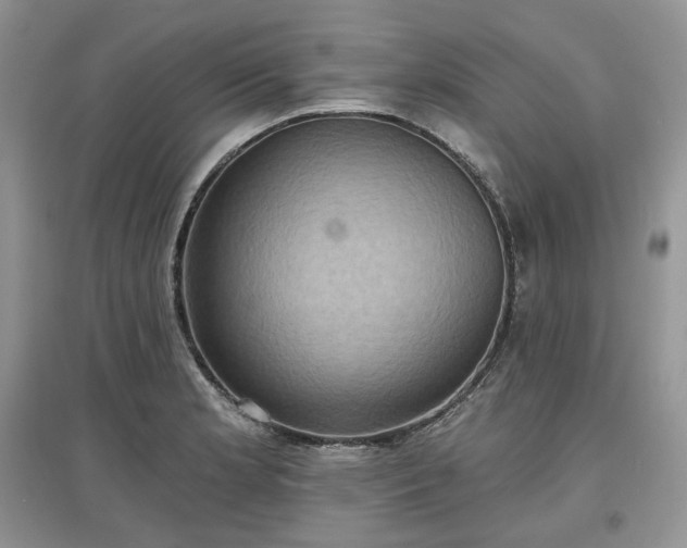 X0000097631181200803071524