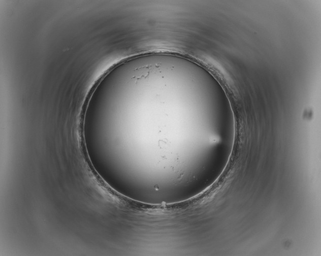 X0000097631182200803071524