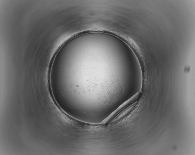 X0000097631183200803071524