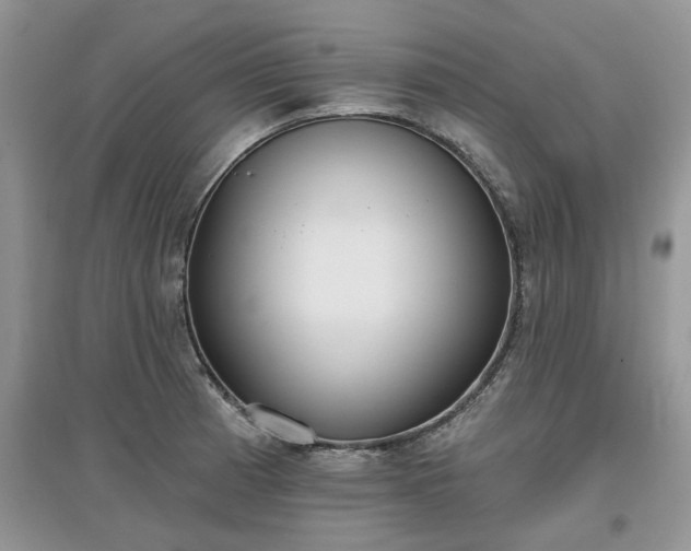 X0000097631185200803071524