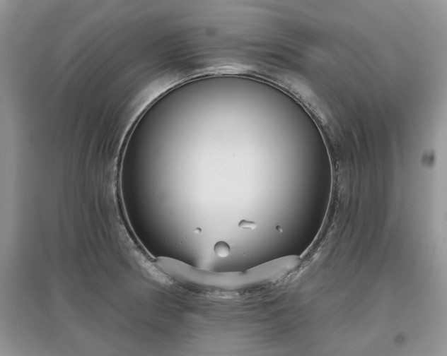 X0000097631186200803071524