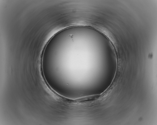 X0000097631187200803071524