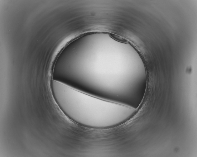 X0000097631188200803071524