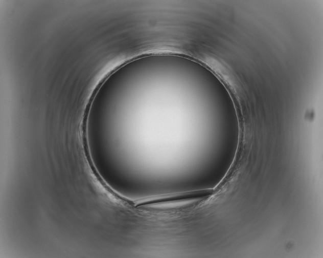 X0000097631189200803071524