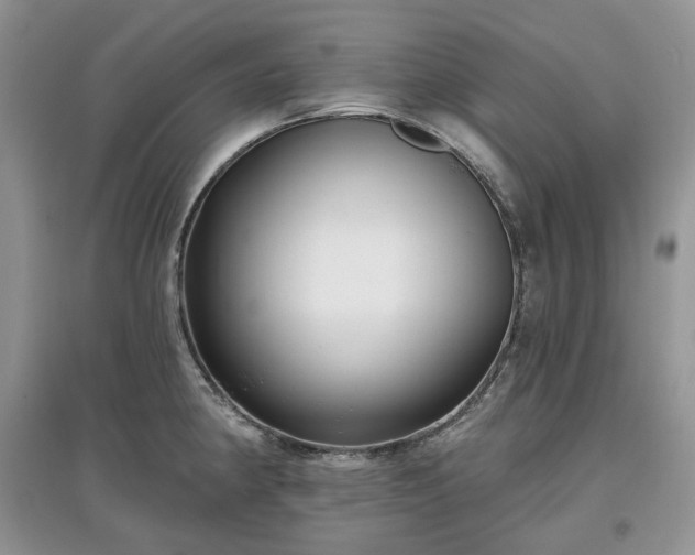 X0000097631190200803071524