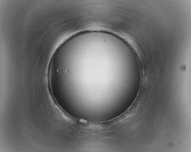 X0000097631191200803071524