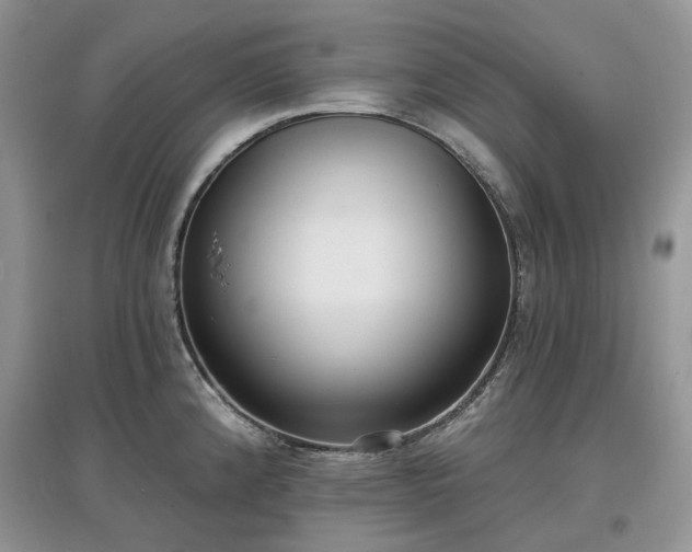 X0000097631192200803071524