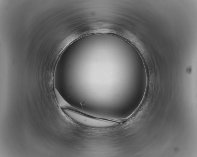 X0000097631193200803071524