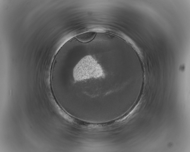 X0000097631194200803071524