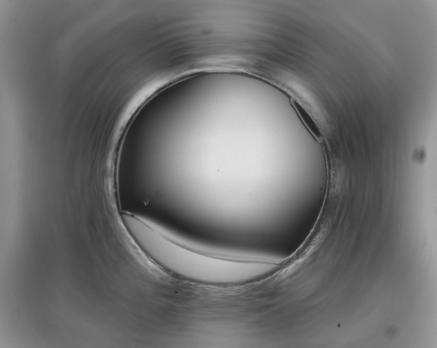 X0000097631196200803071524