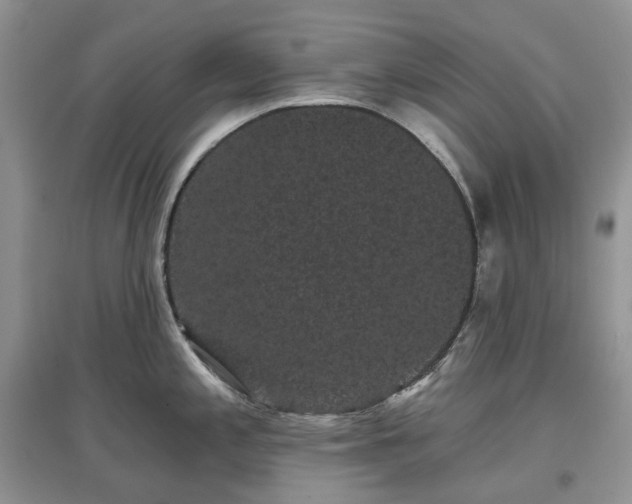 X0000097631197200803071524