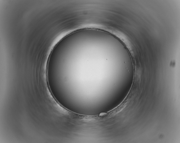 X0000097631199200803071524