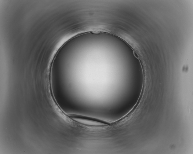 X0000097631200200803071524