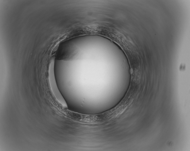 X0000097631201200803071524