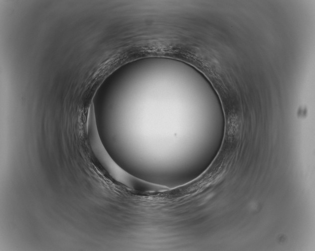 X0000097631202200803071524