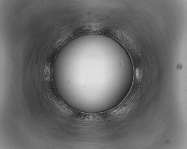 X0000097631203200803071524