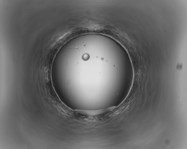 X0000097631205200803071524