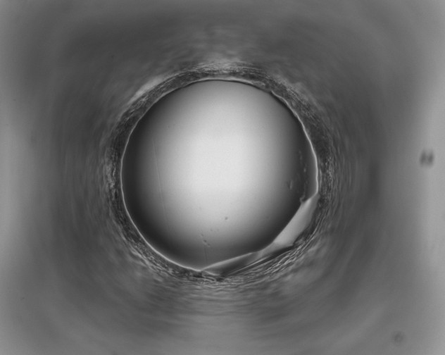 X0000097631206200803071524