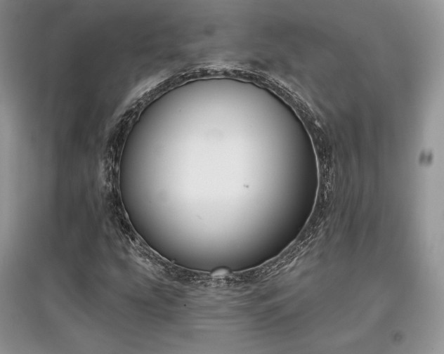 X0000097631207200803071524