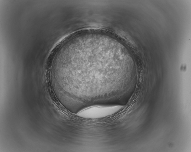 X0000097631208200803071524