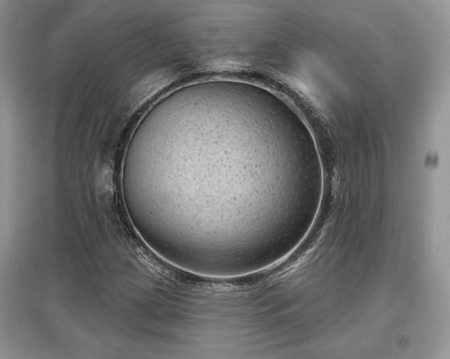 X0000097631209200803071524