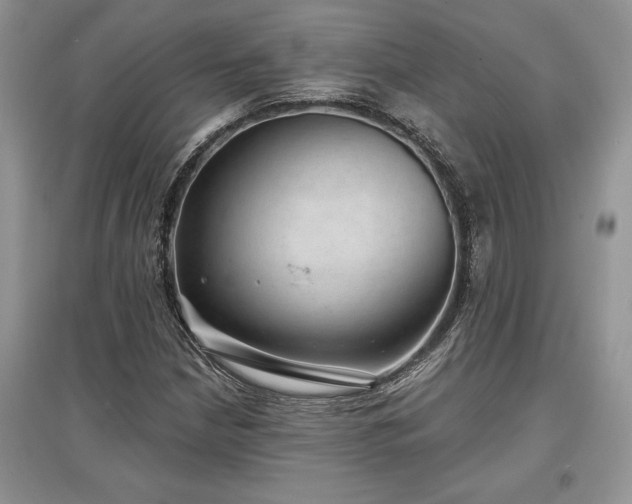 X0000097631210200803071524