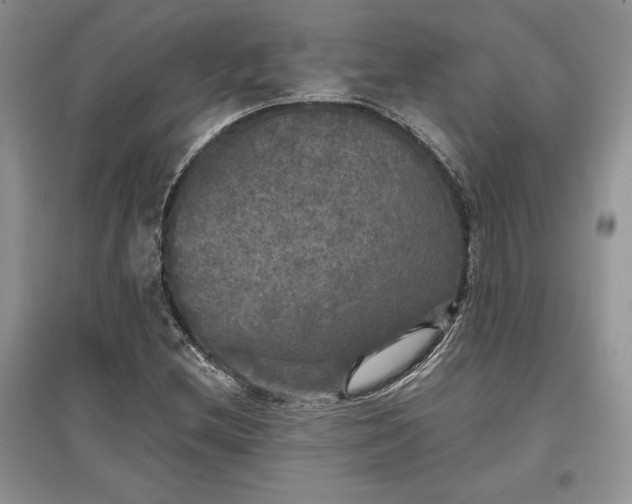 X0000097631212200803071524