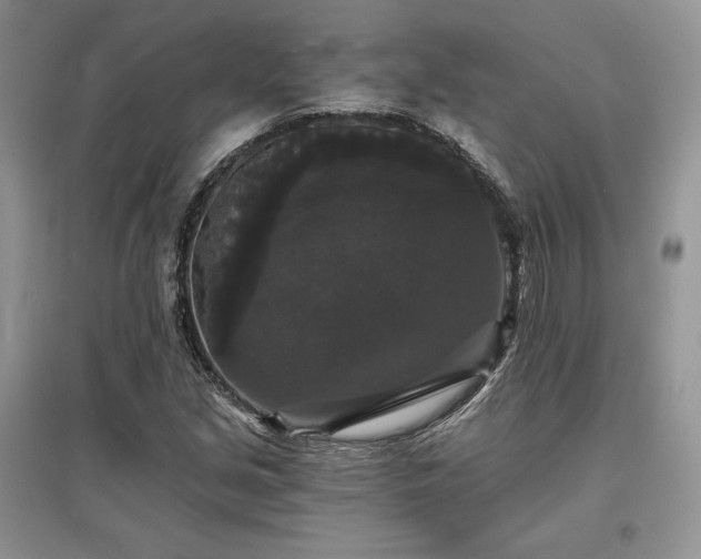 X0000097631213200803071524