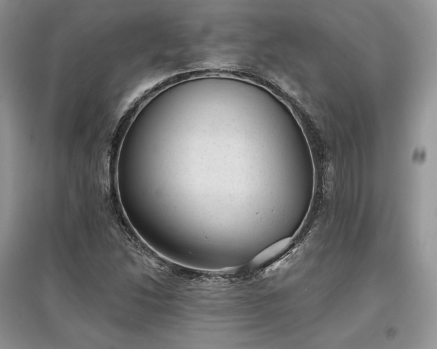 X0000097631214200803071524