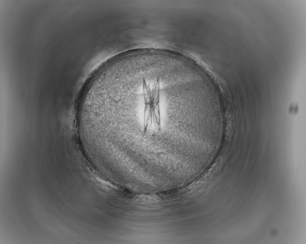 X0000097631215200803071524