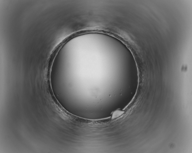 X0000097631216200803071524