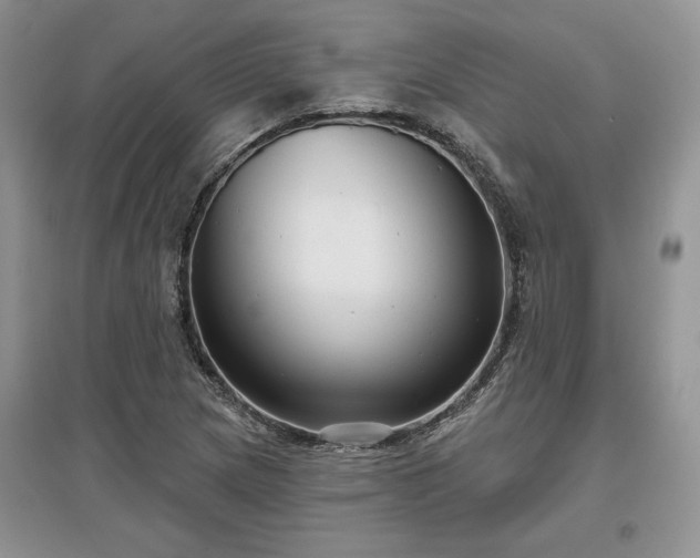 X0000097631217200803071524