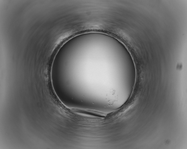 X0000097631218200803071524