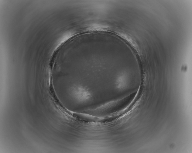 X0000097631219200803071524