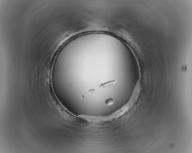 X0000097631220200803071524