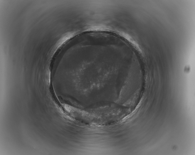 X0000097631221200803071524