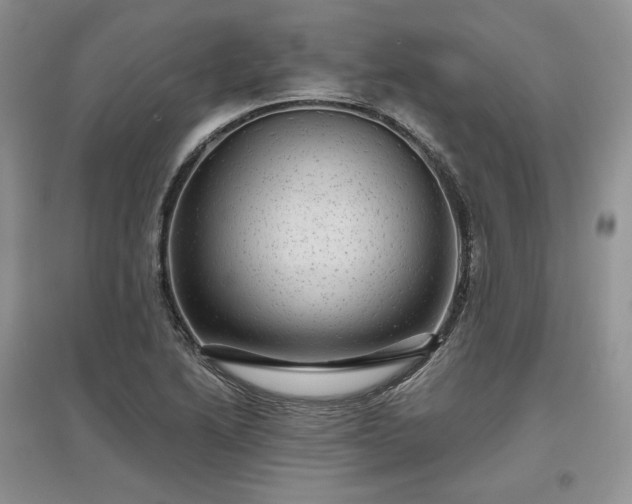 X0000097631222200803071524