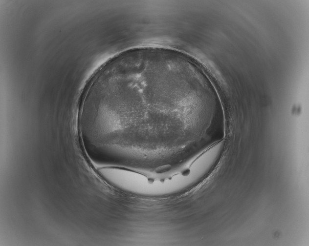 X0000097631224200803071524