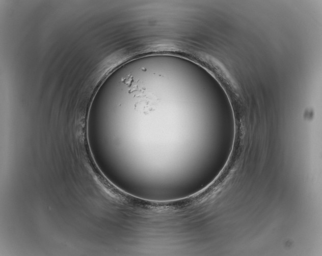 X0000097631225200803071524