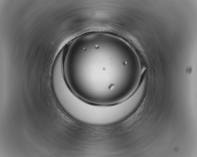 X0000097631226200803071524