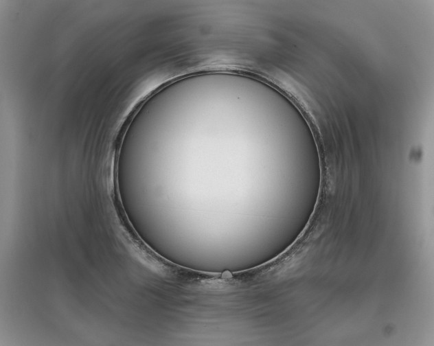 X0000097631227200803071524