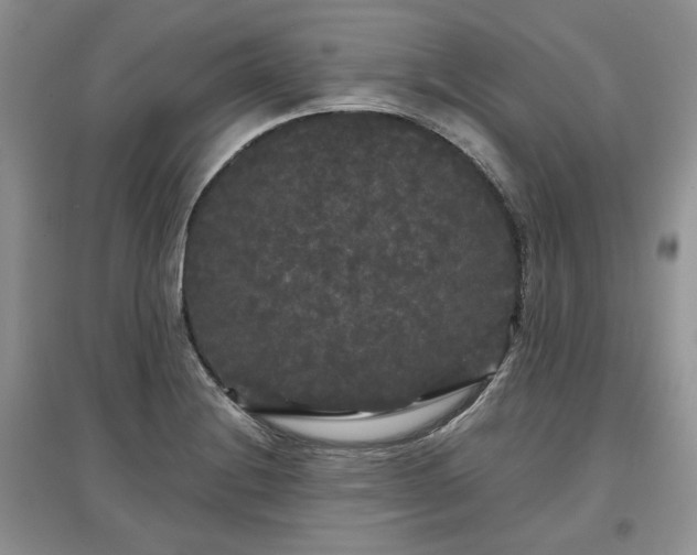 X0000097631228200803071524