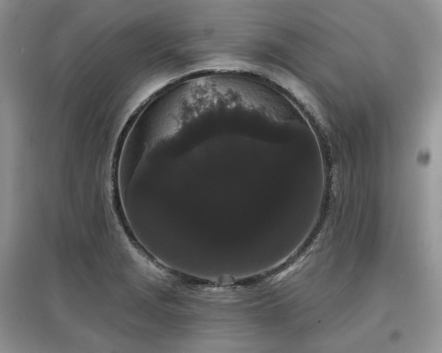 X0000097631229200803071524