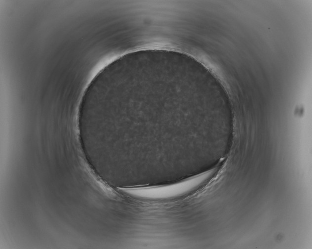 X0000097631230200803071524